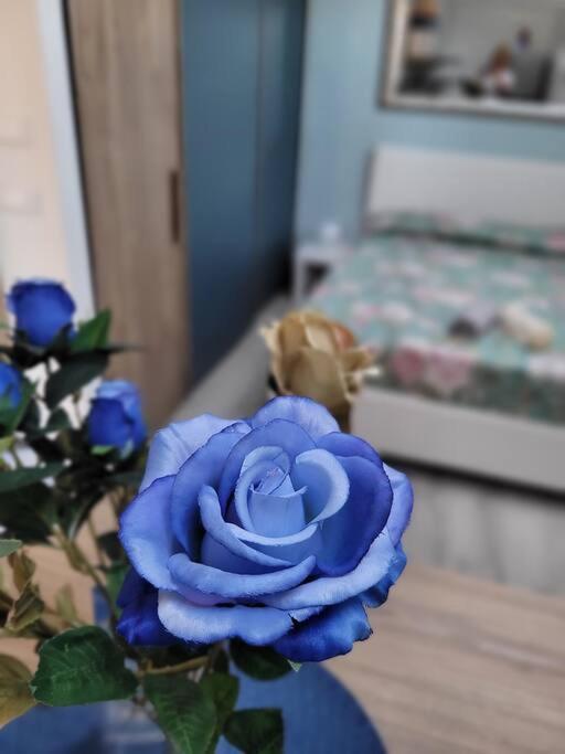Casa Fiori Blu - Figline Valdarno Apartment ภายนอก รูปภาพ